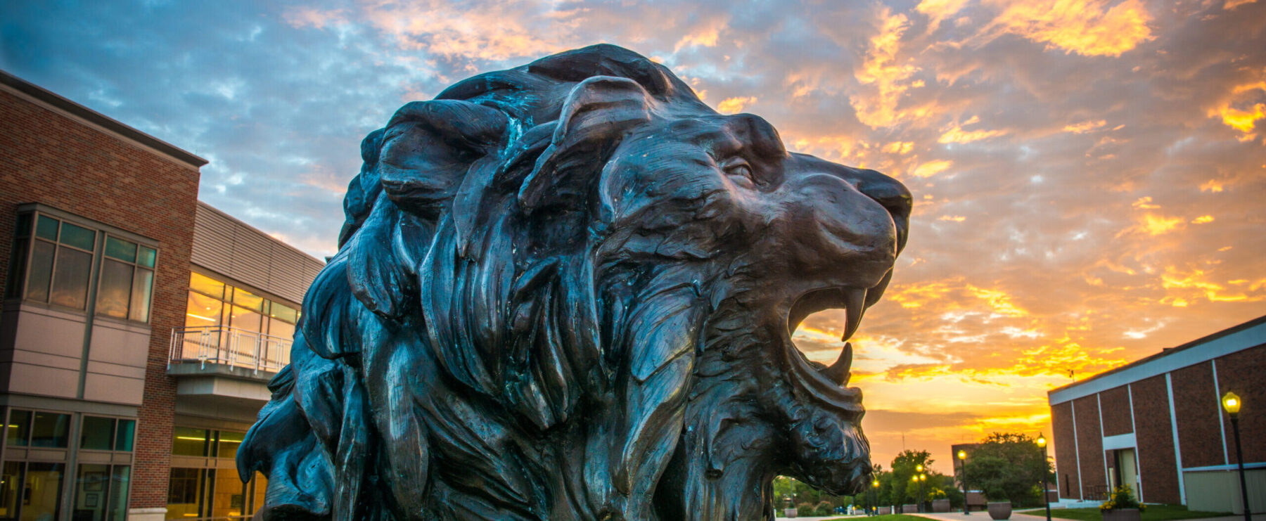 TAMUC lion statue at dusk