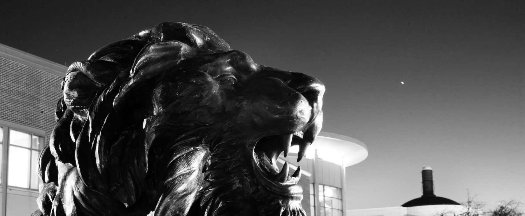 Black and white picture of the Lion Statue