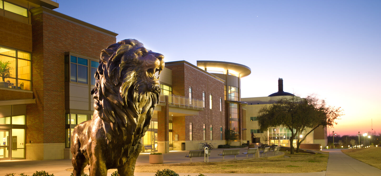 The new lion statue in front of the Rayburn Student center.