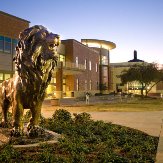 The new lion statue in front of the Rayburn Student center.