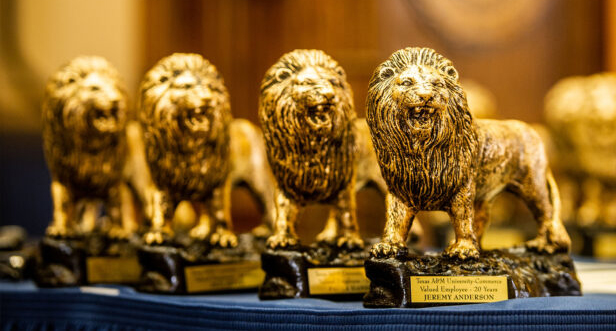 Lions statues awards.