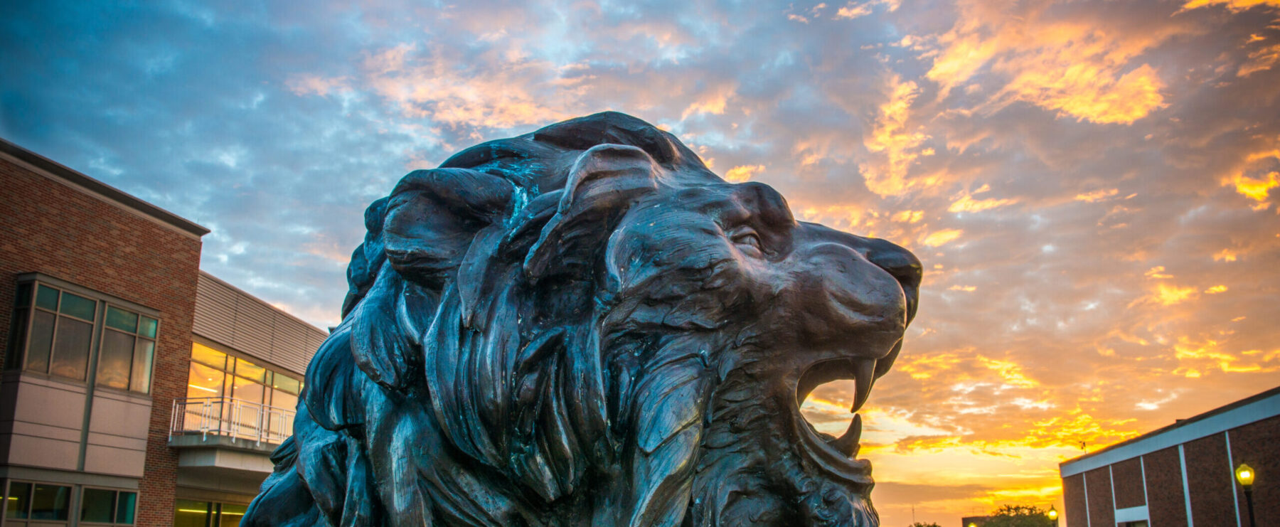 TAMUC lion statue at dusk