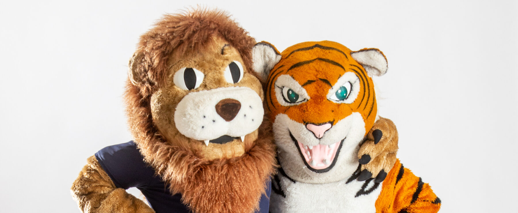 A&M-Commerce lion mascot with a tiger mascot.