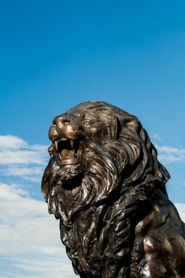 Lion statue