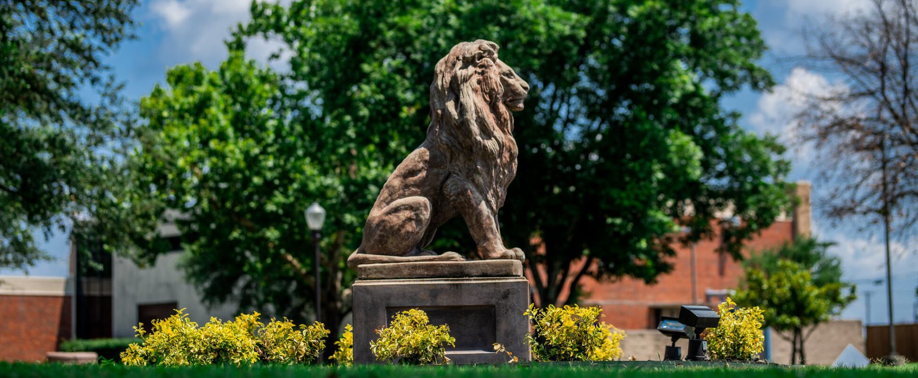 TAMUC lion statue