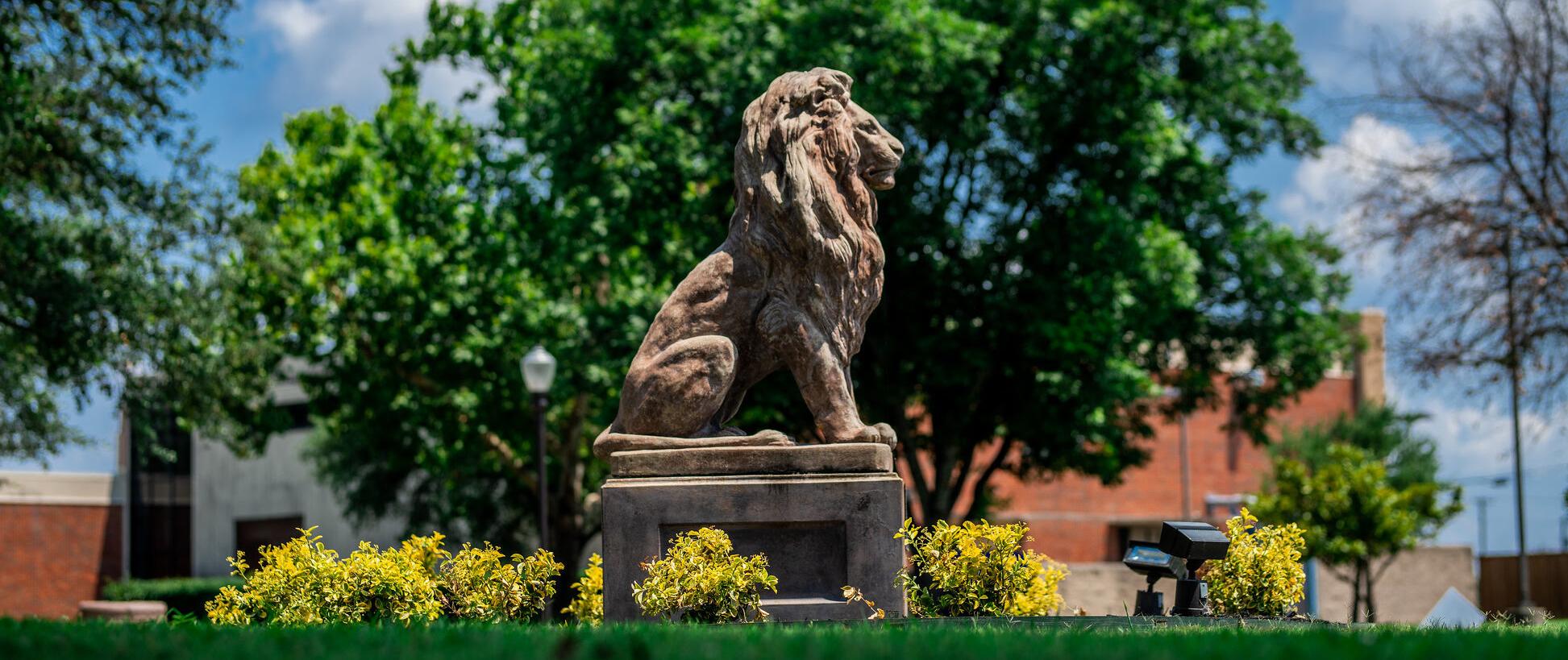 Lion statue on campus.