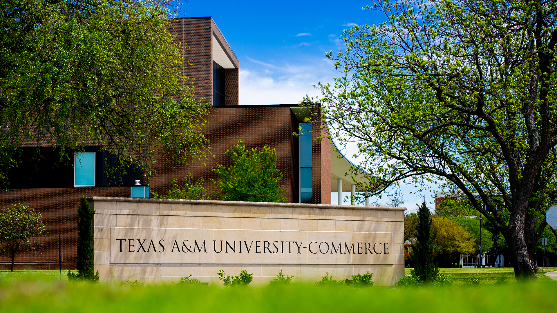 Stone monument with Texas A&M University-Commerce name on campus.