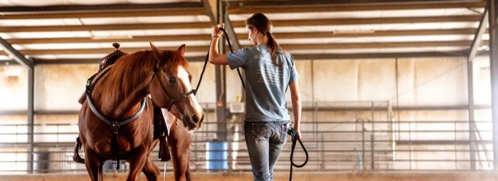 Equine center