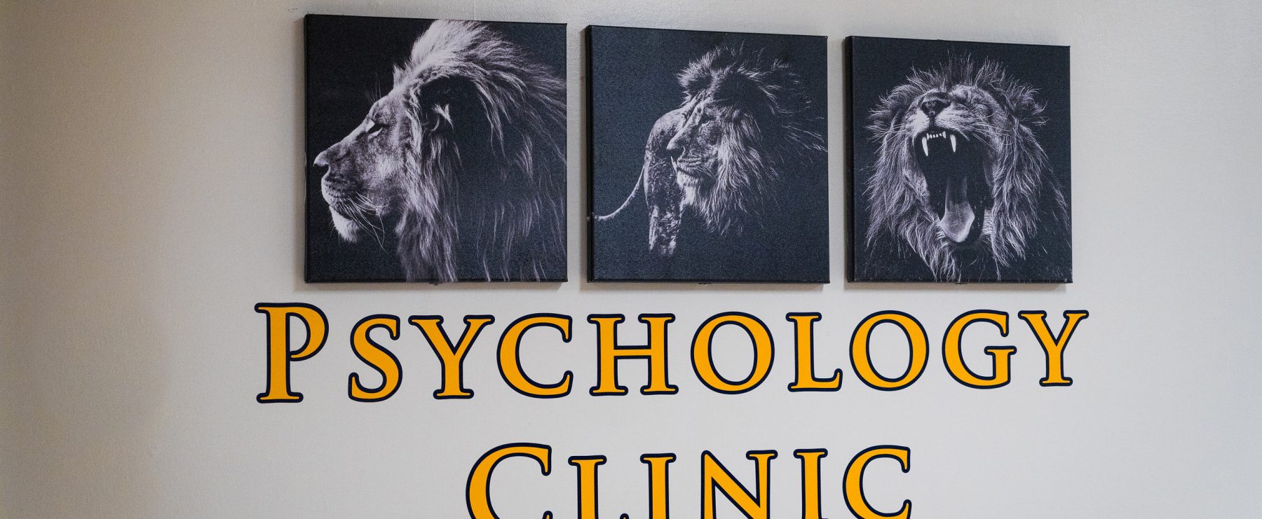 Psychology Clinic wall