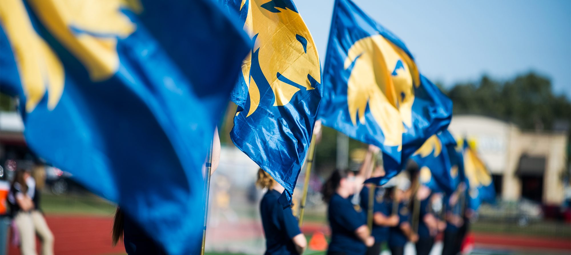 The lion head flags. 