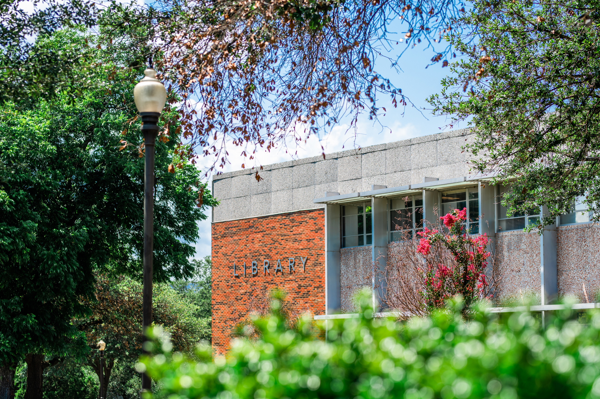 The library building from the outside.