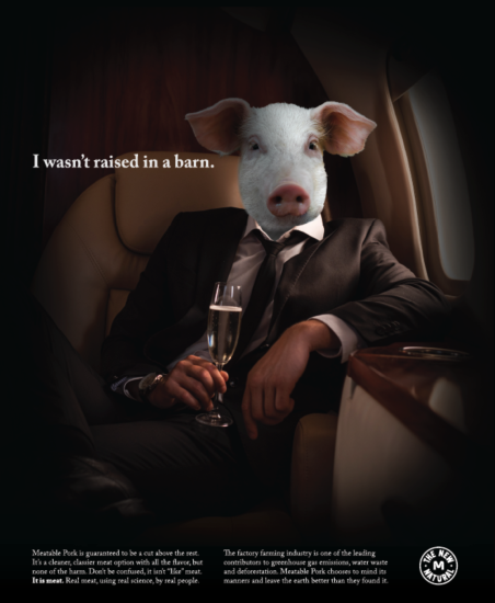 A pig looking person in a fancy plane.