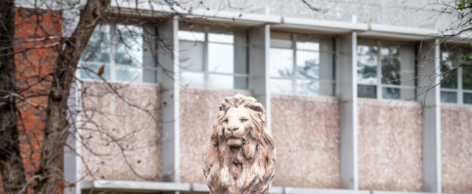 The lion statue in front of the library building.