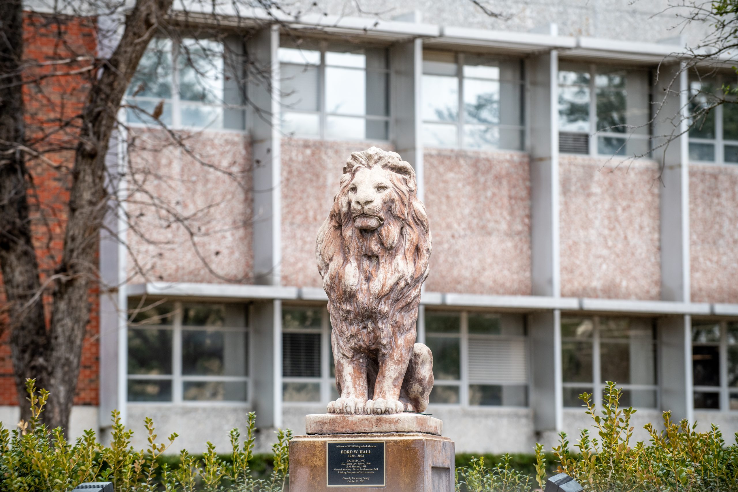 The lion statue in front of the library building.