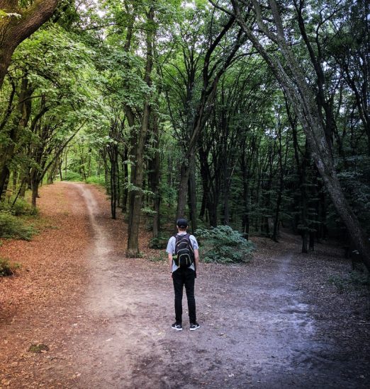 A student with a backpack stands at the fork of a divided path.