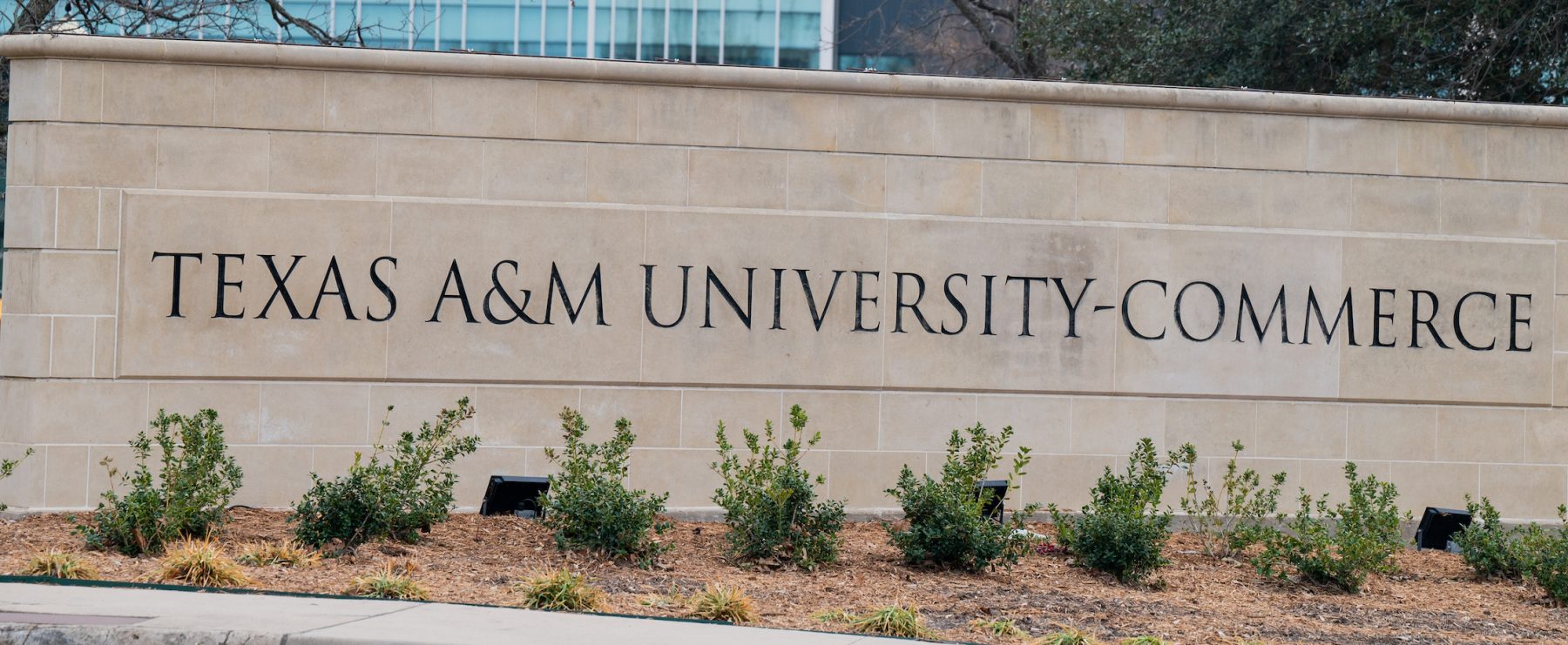 A stone sign that reads "Texas A&M University-Commerce"