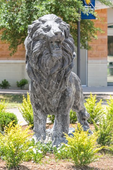 The lion statue in front of the RSC.