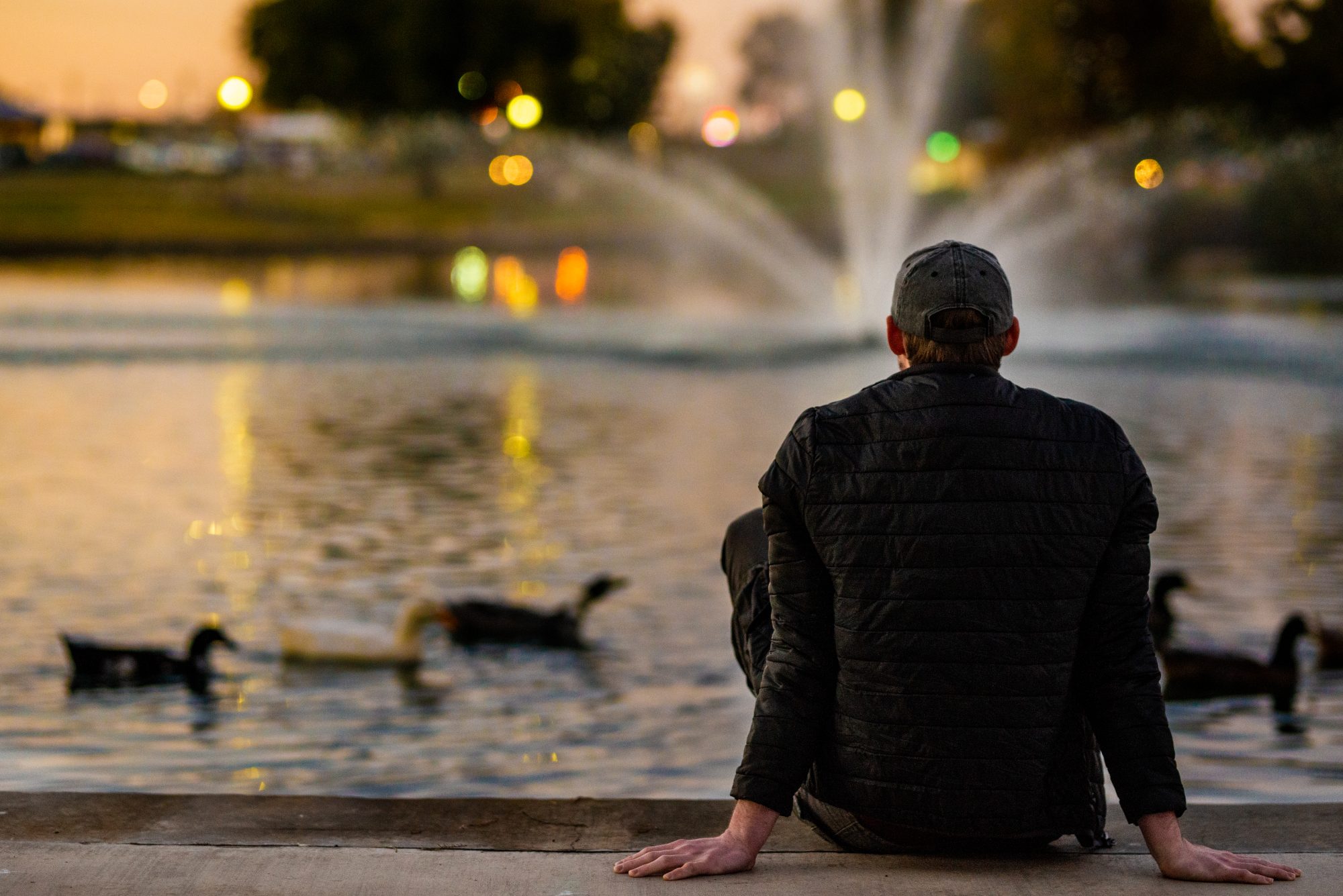 A silhouetted student sits overlooking ducks on a pond.
