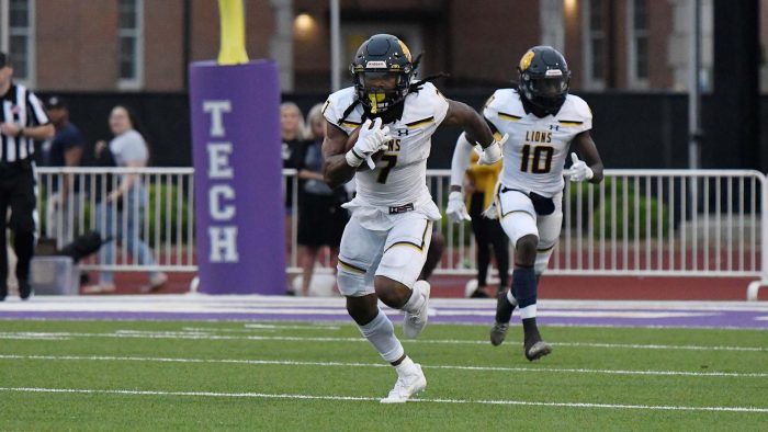 Two football players run down the field.