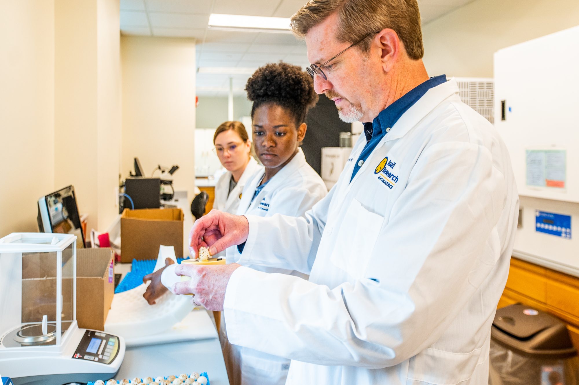 Two students watch as a professor examines a quail egg.