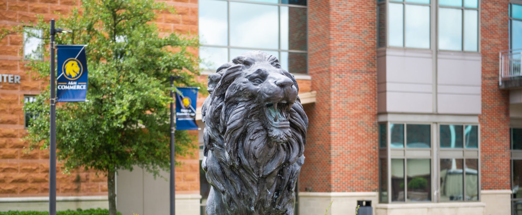 A lion statue with spring flowers blooming at its base on campus at A&M-Commerce.