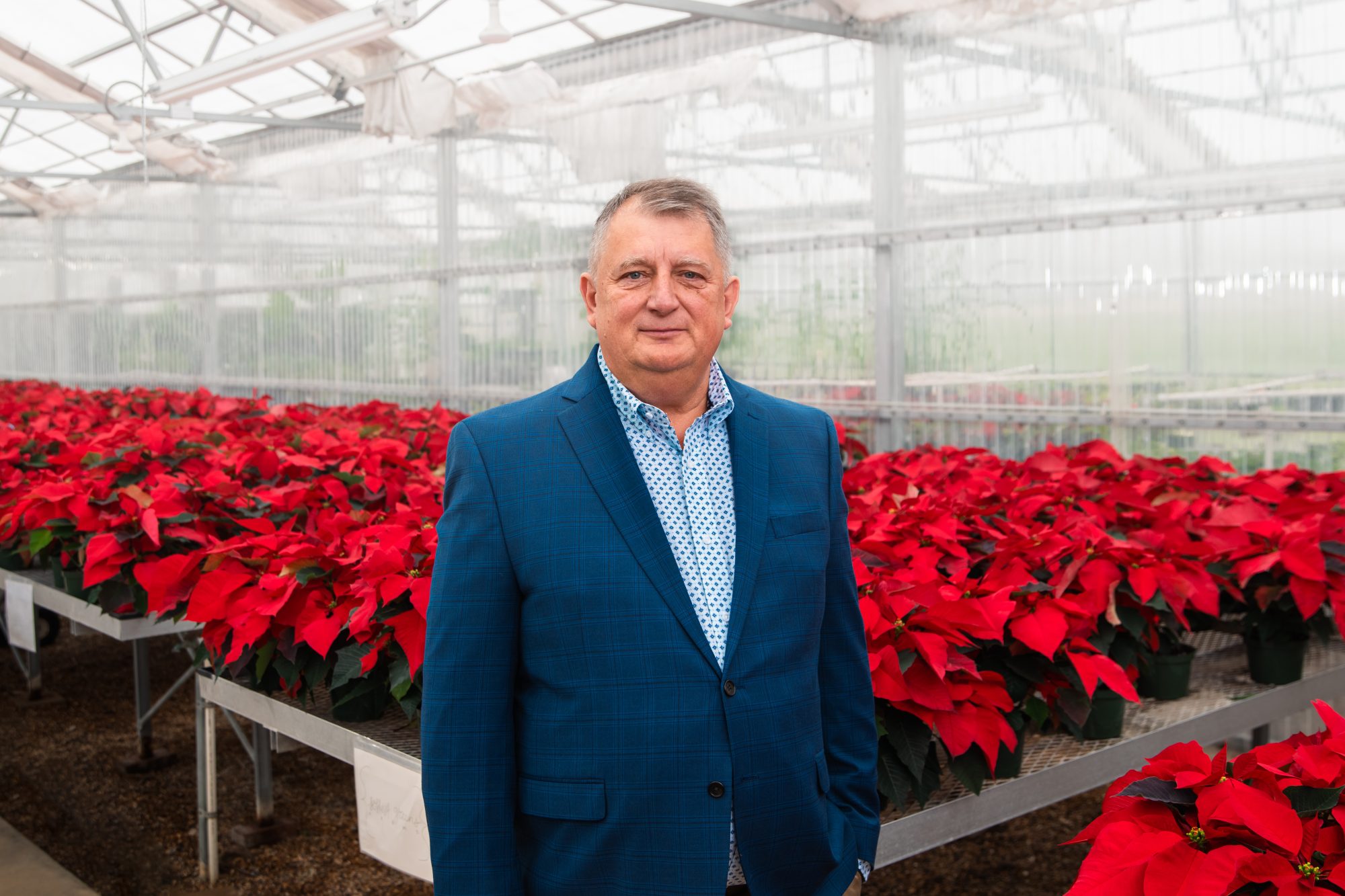 A person stands in and indoor greenhouse full of red and white plants.