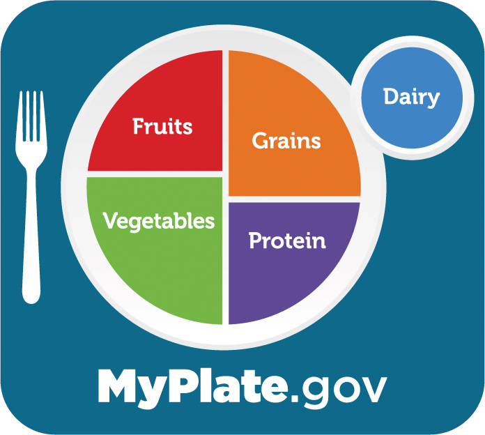 A chart from myplate.gov, in the shape of a plate, divided up into portions for fruits, vegetables, grains, protein, and dairy