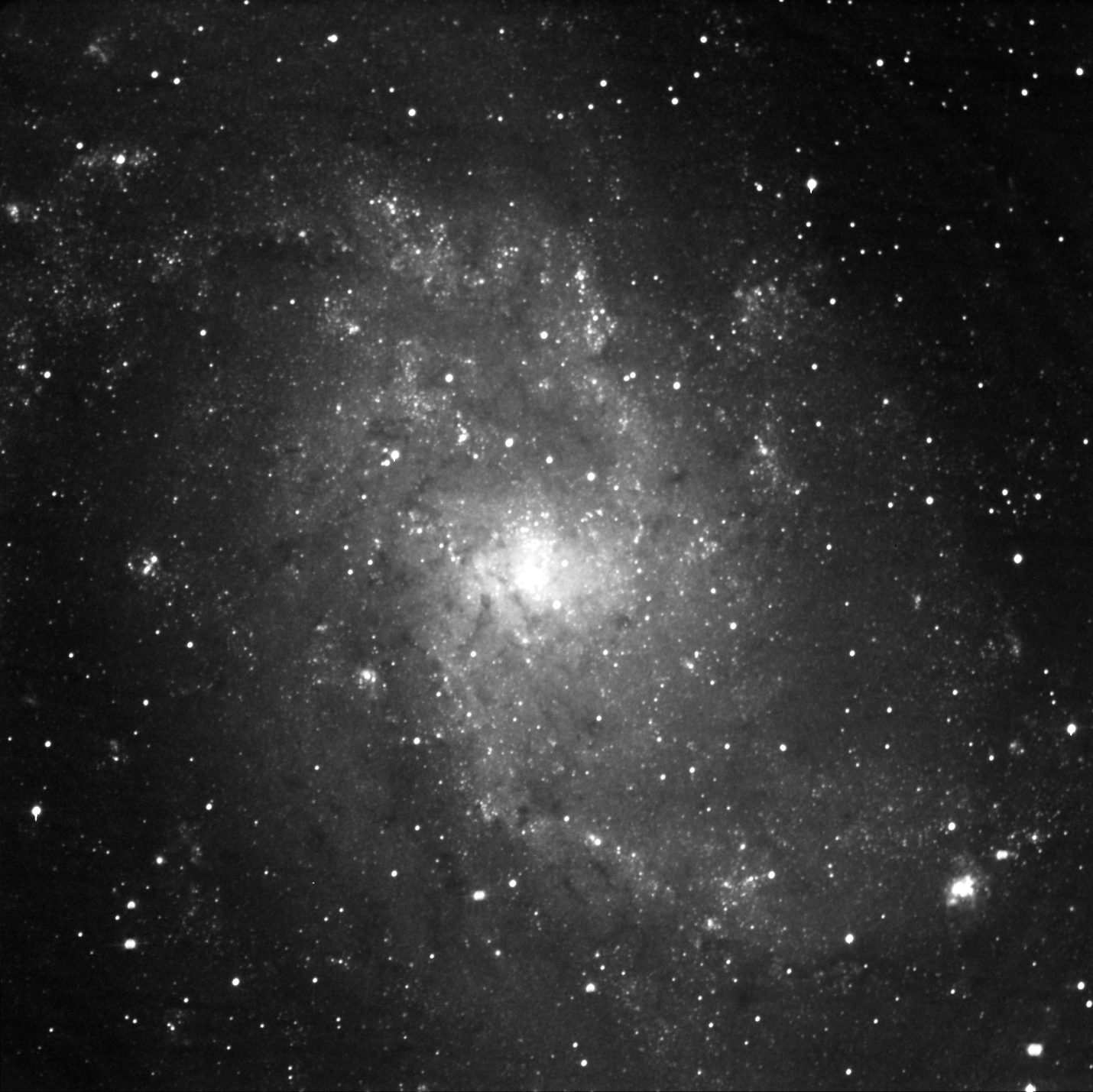 A black and white image depicting stars in the Triangulum Galaxy.