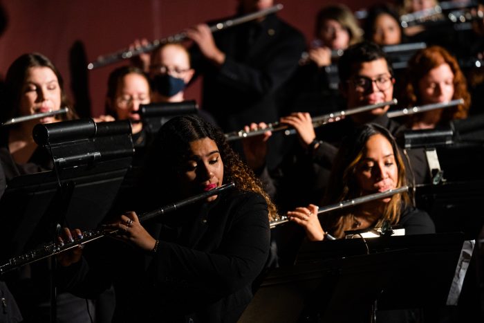 An ensemble of flutists perform during a concert.