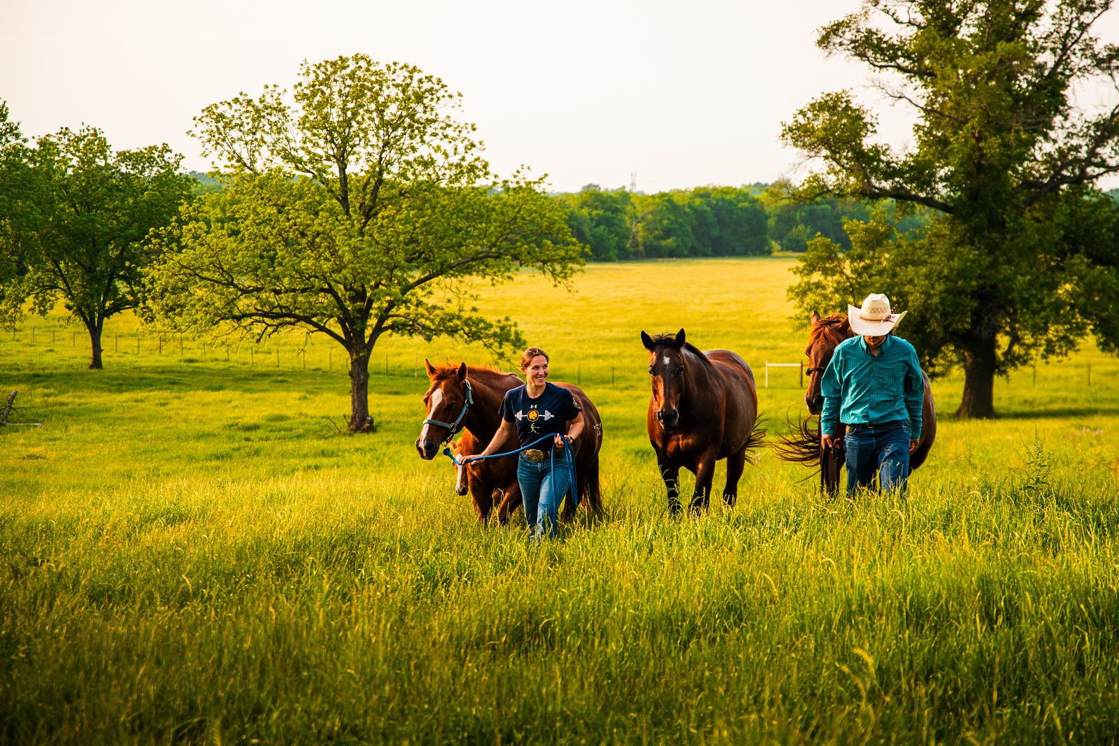 A female and male guiding horses in the pasture.